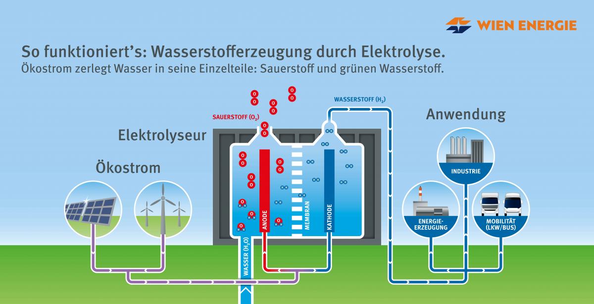 Vídeň začne vyrábět vlastní vodík, nejen pro autobusy