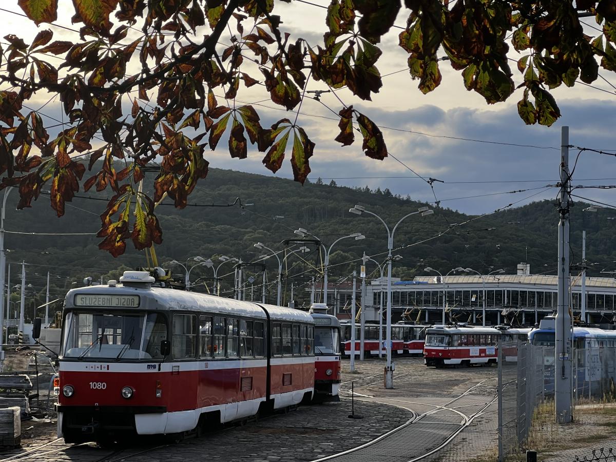 Šotodays 2023 v Brně se vydařila