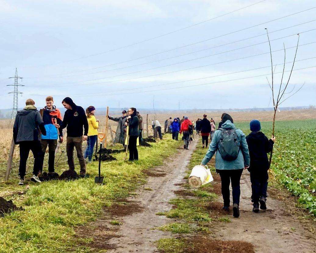 Cesty za stromy: cestující RegioJetu přispěli milion korun na obnovu krajiny
