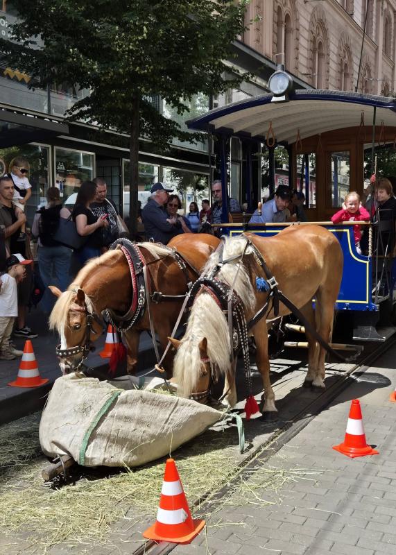 Brno ve znamení dopravy: od Transport Show k Dopravní nostalgii